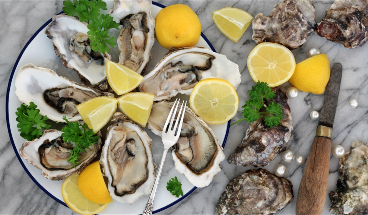 Plate of oysters