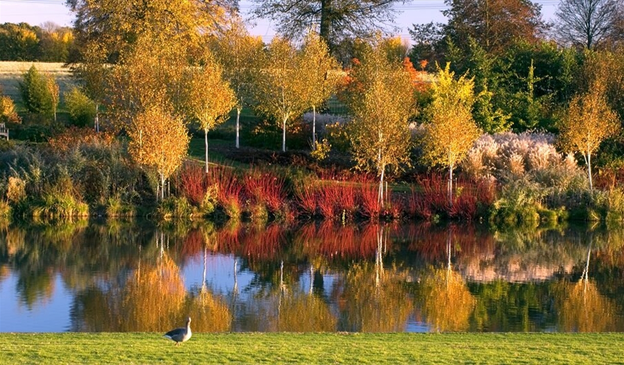 Marks Hall in Autumn