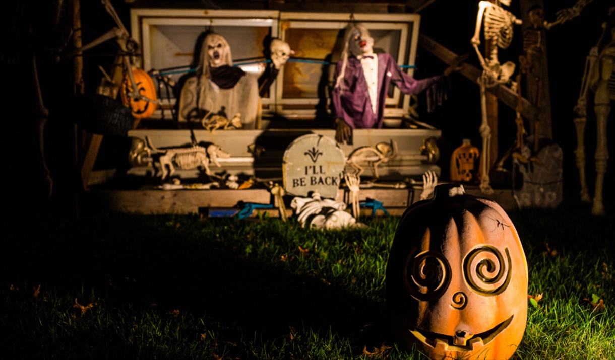 A selection of Halloween garden decorations