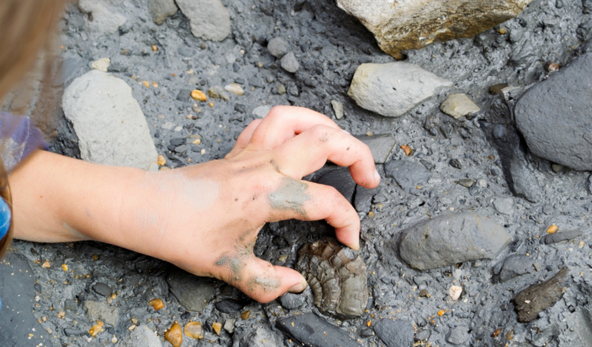 Children's hand picking a fossil out of some mud