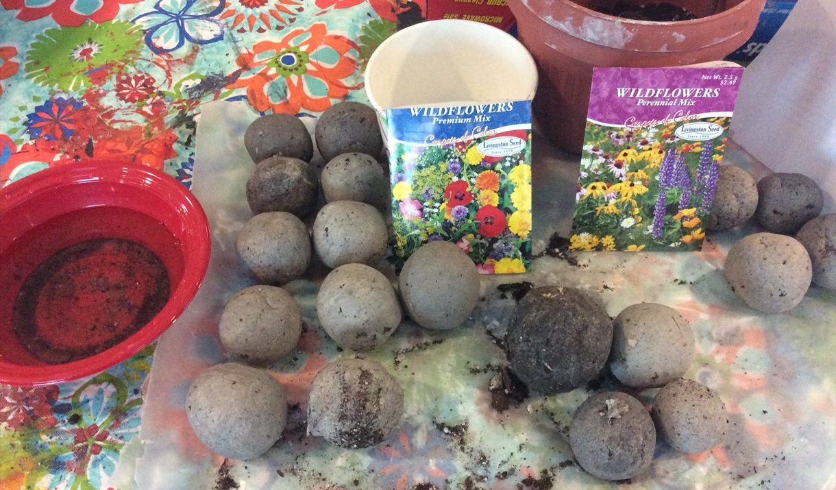 The different parts of a seed bomb including clay and wildflower seed mixes