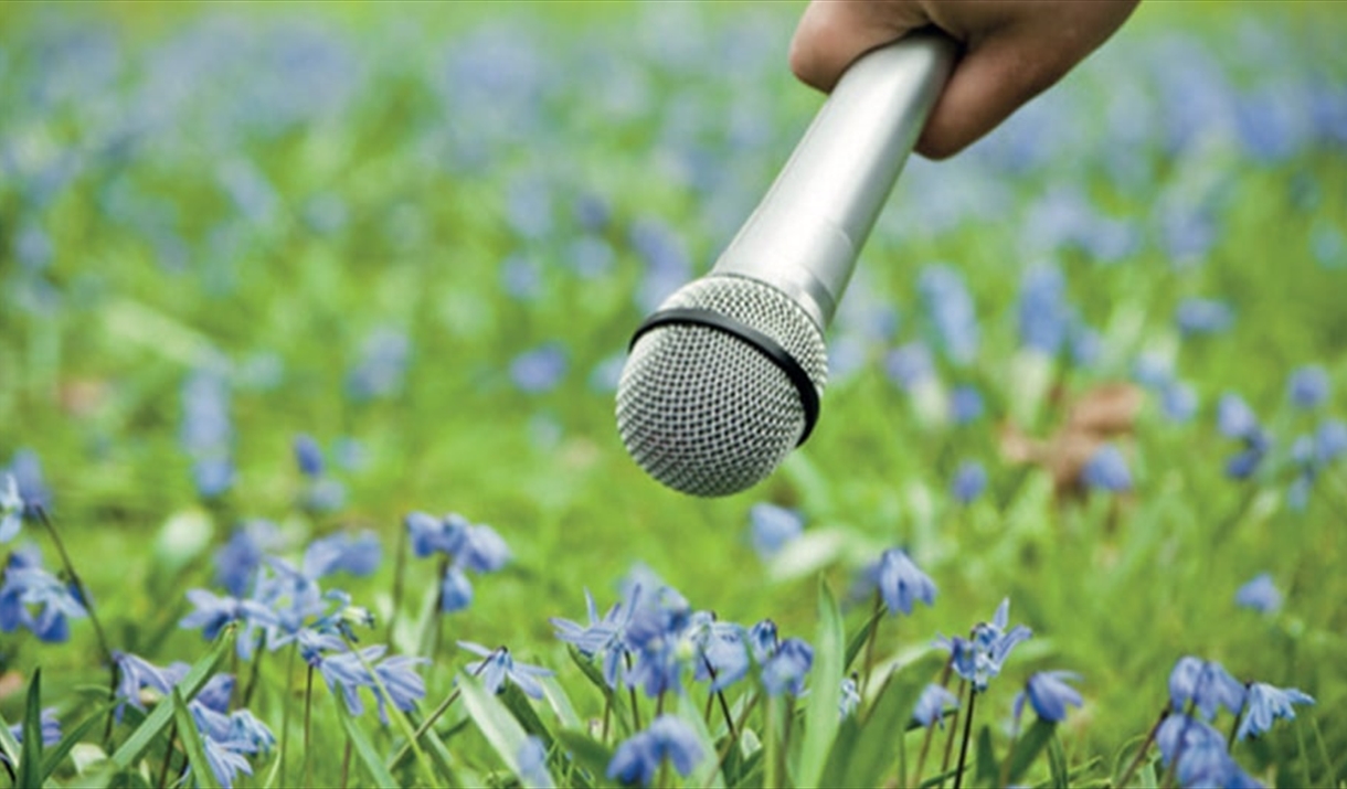 A microphone held up to a field of bluebells