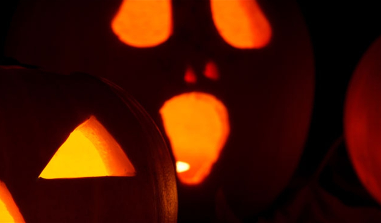 Thorndon Pumpkin carving