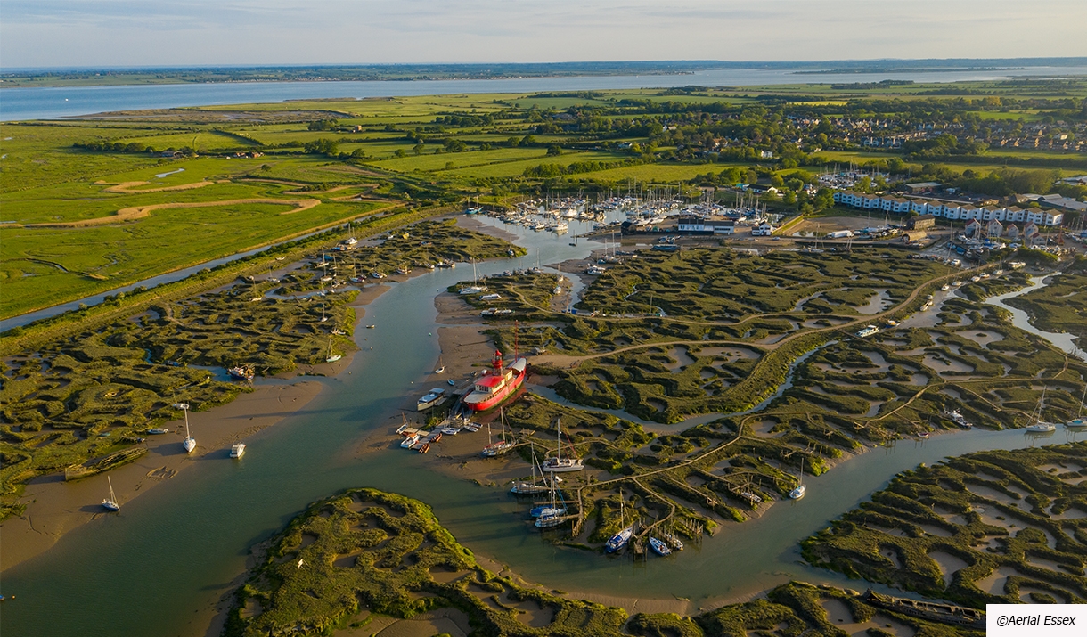 Tollesbury Wick Marshes