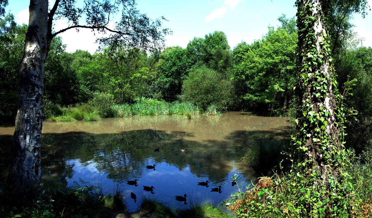 Galleywood Village in Galleywood, Chelmsford Visit Essex