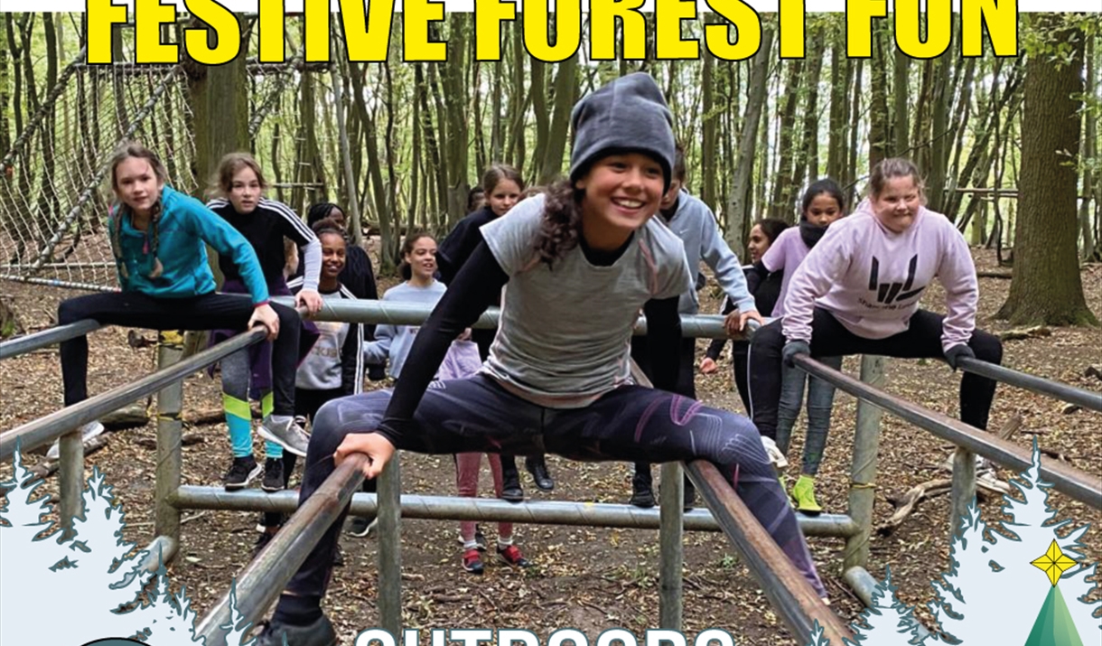 Festival Forest Fun
