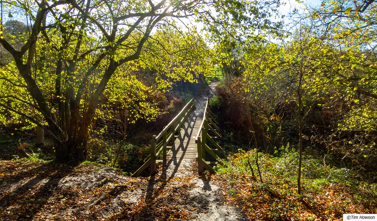 GC24Y9Y The Belvedere - Weald Country Park (Multi-cache) in Eastern  England, United Kingdom created by SXParx