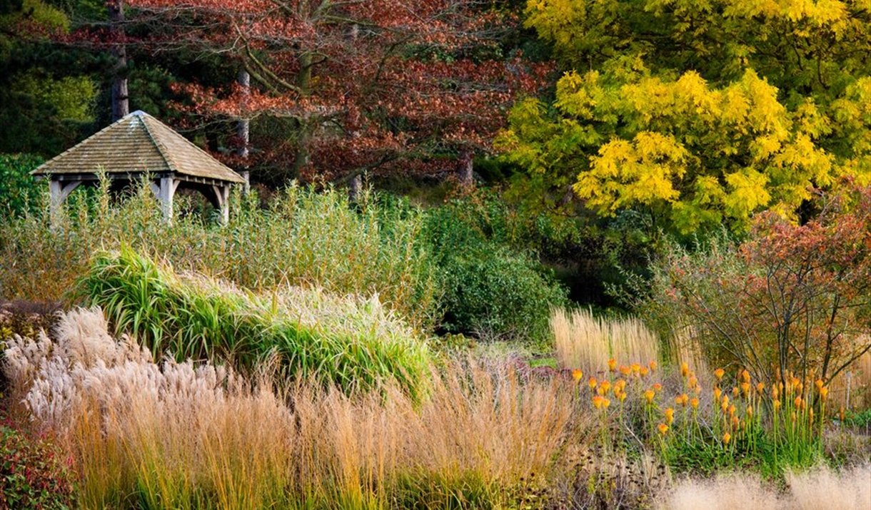 Rhs Garden Hyde Hall Garden In Chelmsford Chelmsford Visit Essex