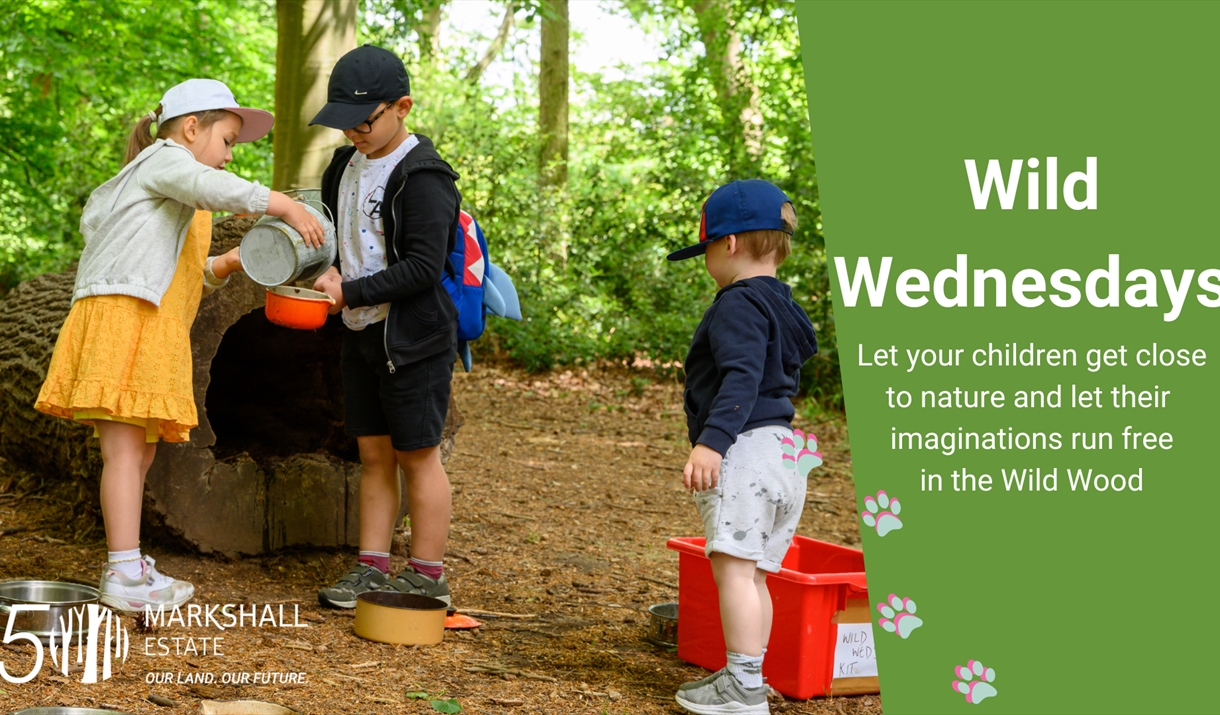 Poster showing children playing in the woods