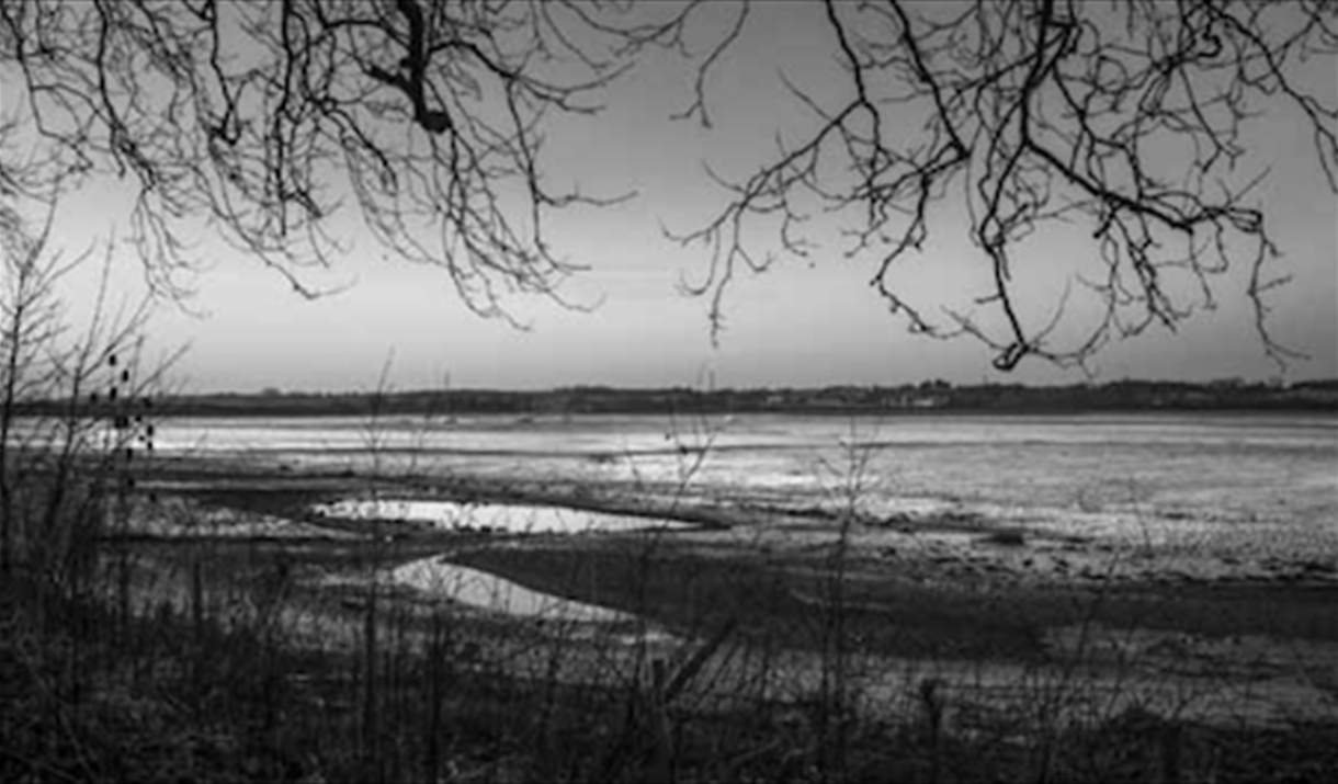 A black and white image of the Stour Estuary