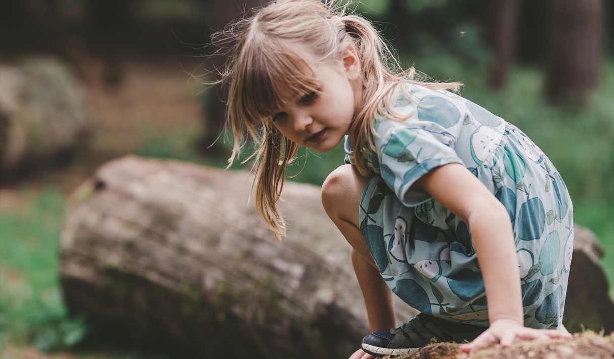 Nature Explorer Family Trail