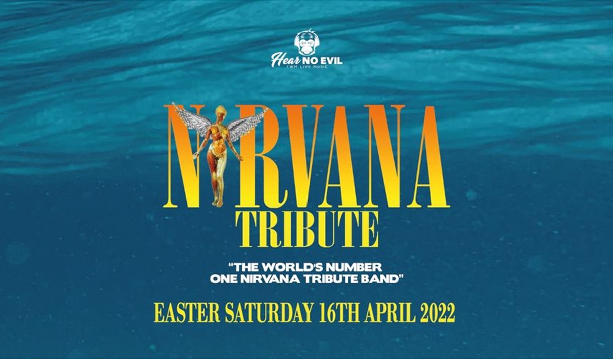 Nirvana Tribute