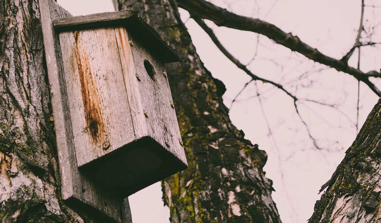 Build a Nest Box workshop at Marks Hall Estate