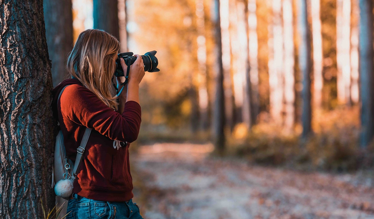 Photography at Marks Hall Estate