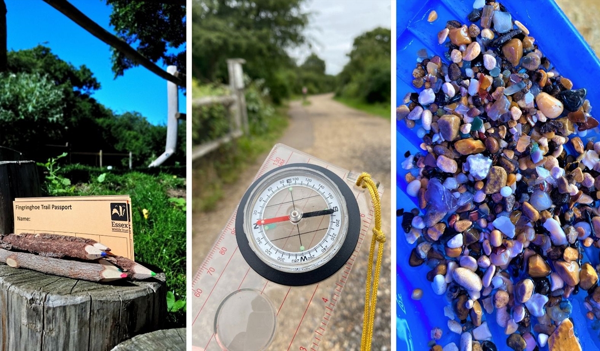 Photo montage of some wild activities - orienteering, stones, wooden pencils etc.