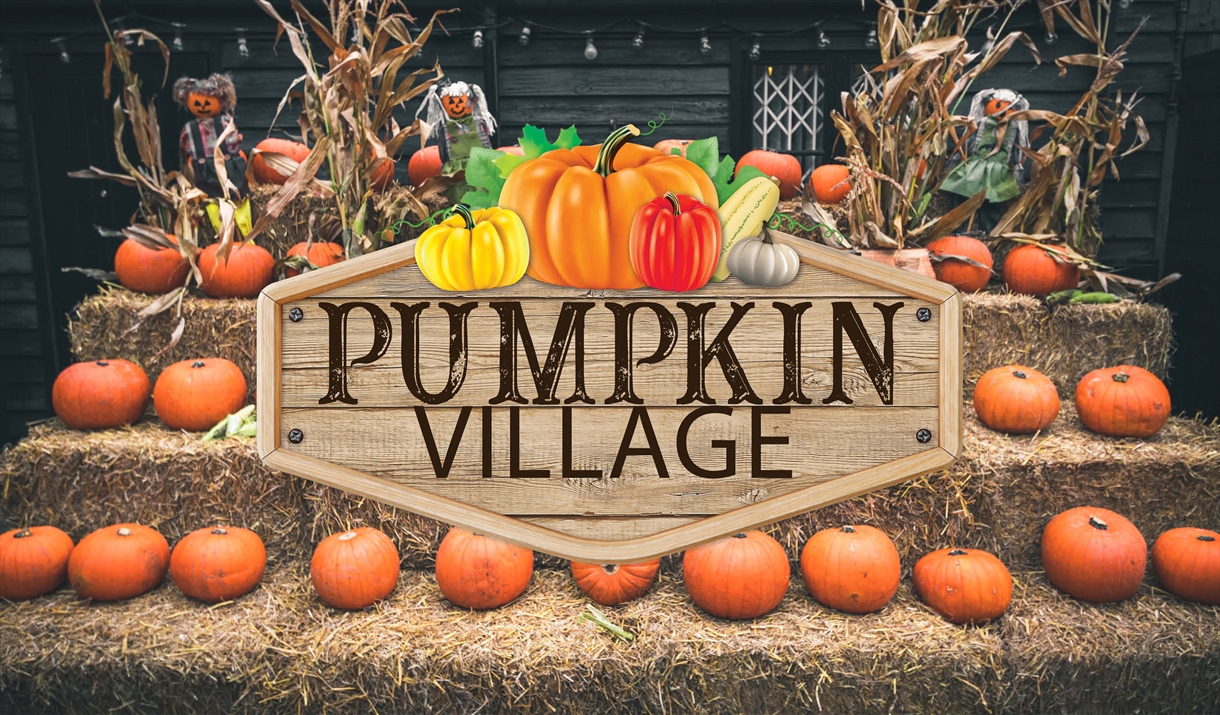 Pumpkin Picking Village Halloween Event in Chelmsford, South Woodham