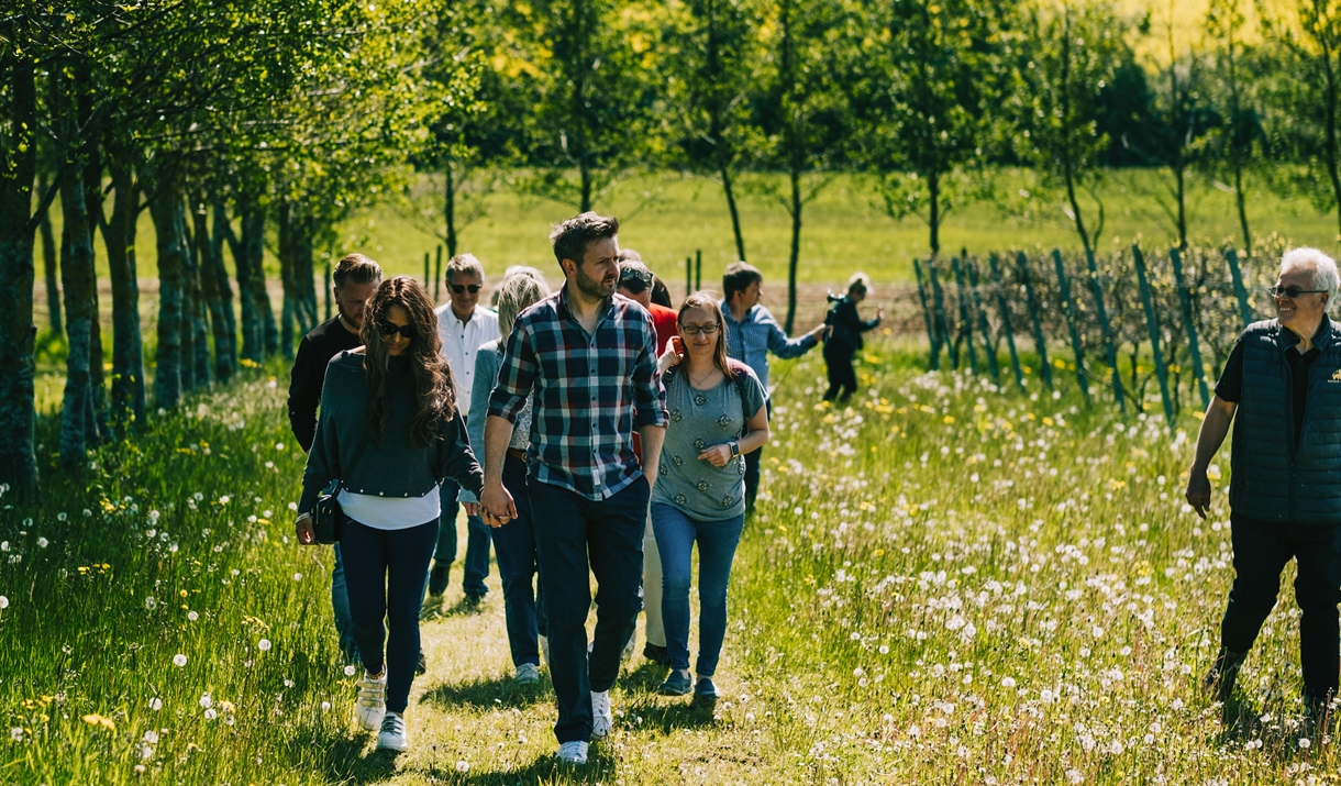 Guests walk through Saffron Grange Vineyard on one of its tours and tasting experiences.
