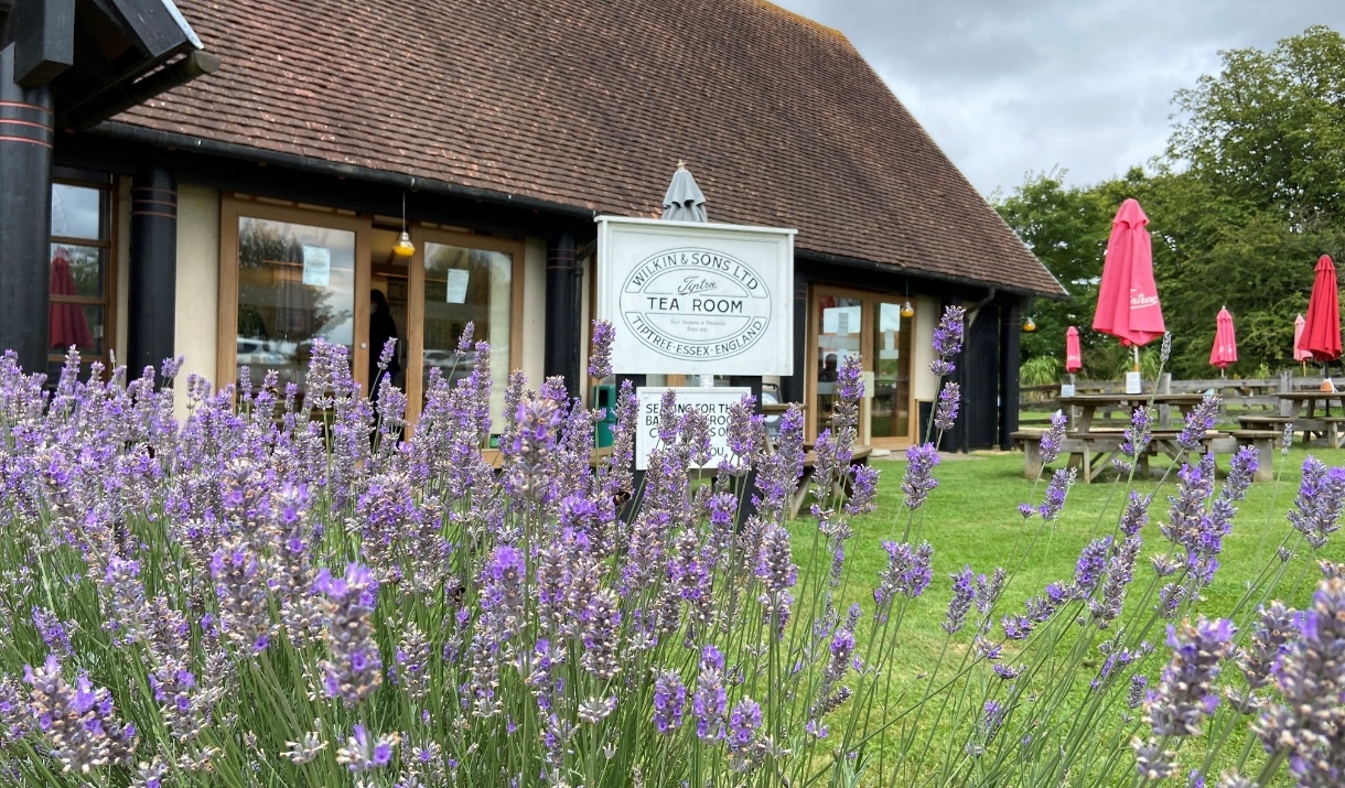 Tiptree Tea Room at The Barns at Cressing Temple Tea Room in Witham