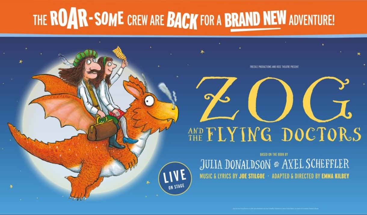 Zog and the Flying Doctors