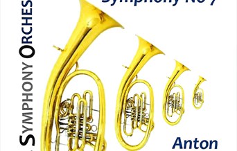 Colchester Symphony Orchestra concert