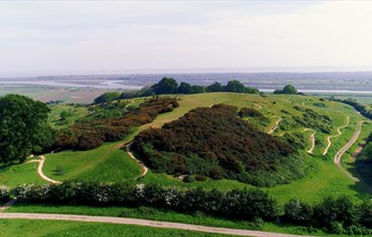 Hadleigh Country Park from the air