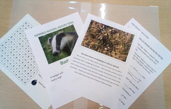 four a4 sheets of paper printed with photos and information about badgers, animal poo and other wildlife facts laid on a table