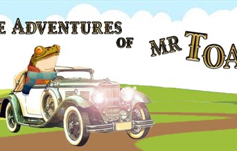 The Adventures of Mr Toad