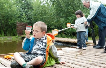 A child sits crossed legged on a wooden platform next to a pond, looking fascinatedly at a small pot with a pond creature inside that he is holding. I