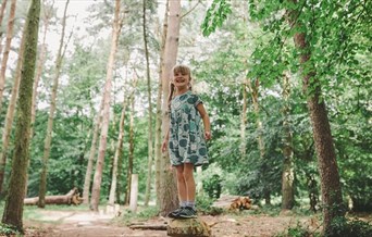 A young girl standing on a tree stump