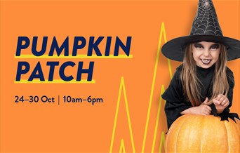 Pick Your Own Pumpkin at Lakeside!