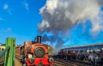 Steam Day - unlimited train rides