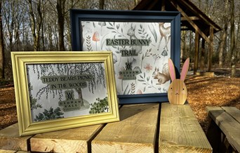 Easter Bunny Trail & Teddy Bears Picnic