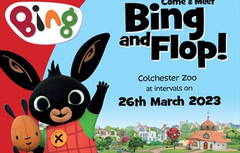 Meet Bing and Flop