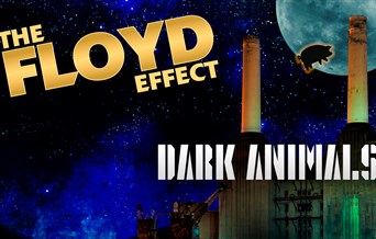 The Floyd Effect – Dark Animals