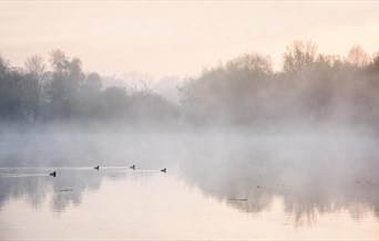 River Lee Country Park