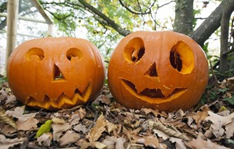 Carved pumpkins
