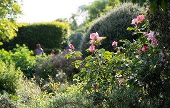 Waltham Abbey Gardens