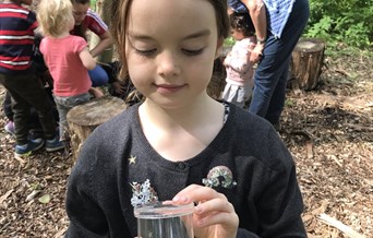 Wild About Nature Family Fun Day