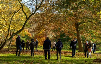 Autumn Photography Workshop