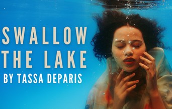 Swallow the Lake