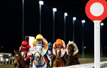 Saturday Racing