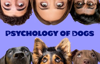 The Psychology Of Dogs