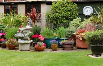 Harwich Secret Gardens