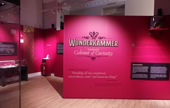 Wunderkammer Exhibition Southend