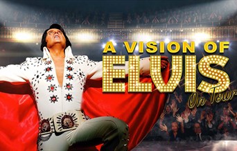 A Vision of Elvis