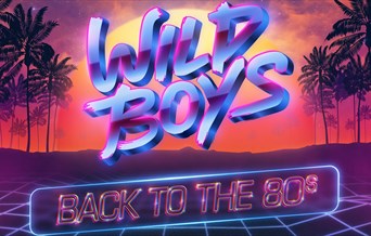 Wild Boys