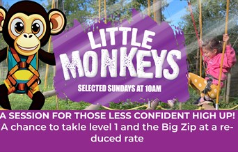 High Ropes - Little Monkeys