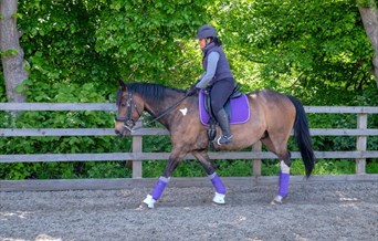 Lee Valley Riding School