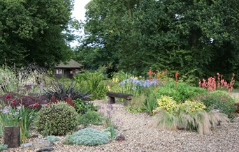 Planting for All Year Colour Course