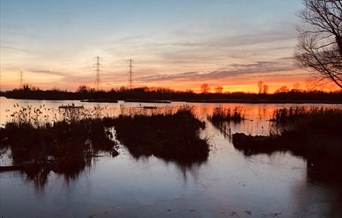 Bittern Roost Watch